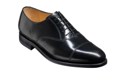 Arnold - Black Hi-Shine